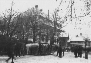 1920: Linde, Grossviehmarkt