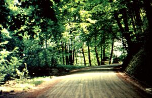 1954: Die alte Bernstrasse vor der Asphaltierung